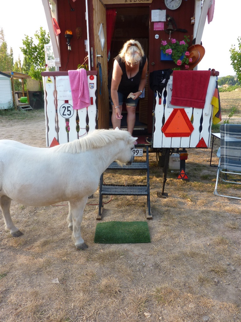 Pferd Auf M Flur
 Frankreich – 23 08 11 – Wir lassen den Stau hinter uns