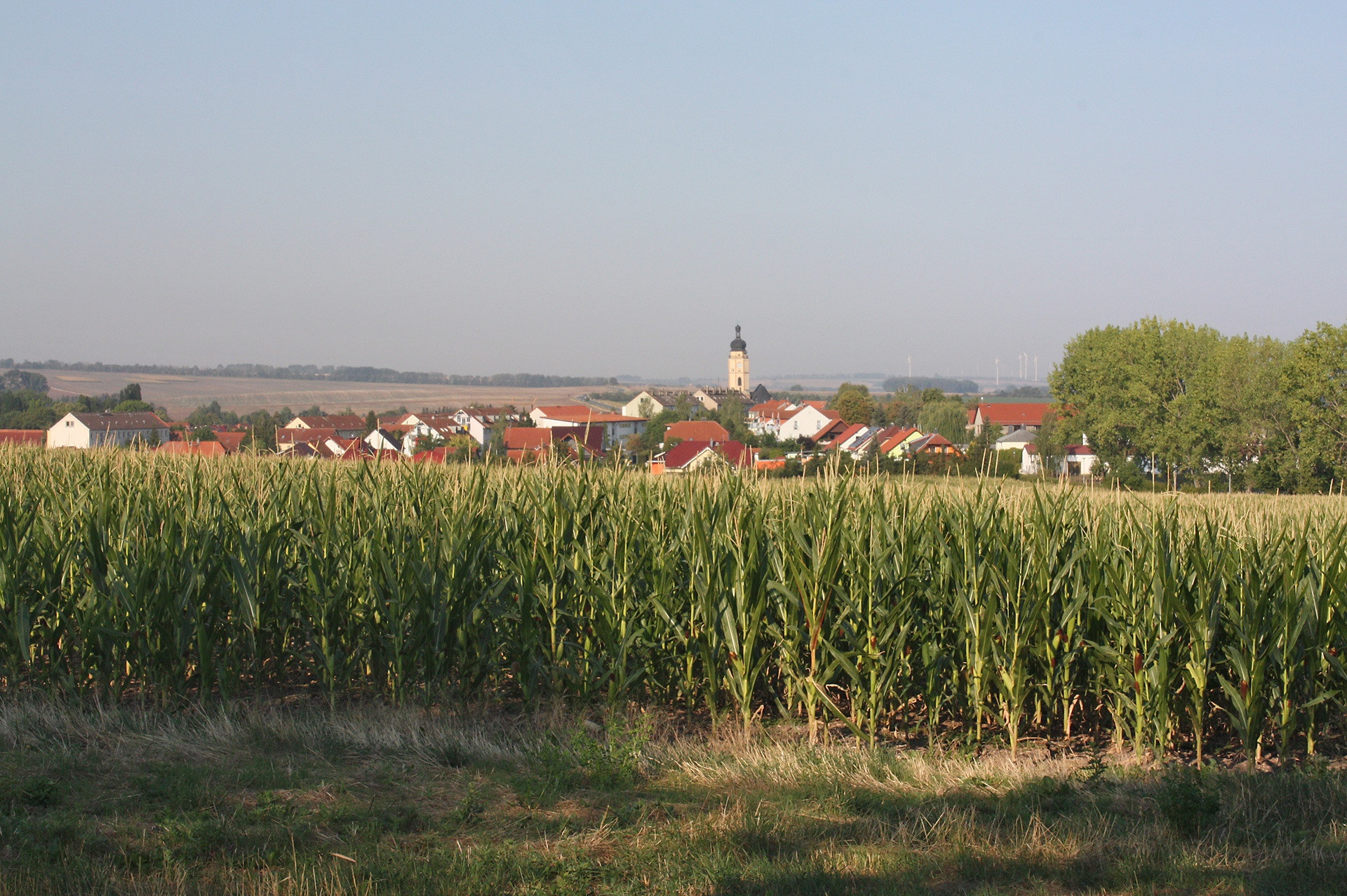 Pferd Auf M Flur
 Geheimtipp Buttstädt es steht ein Pferd auf m Flur