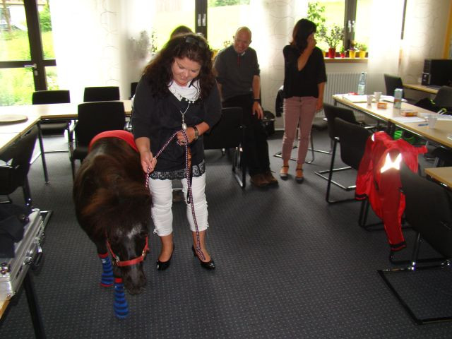 Pferd Auf M Flur
 Es steht ein Pferd auf‘m Flur… – Grundschule und