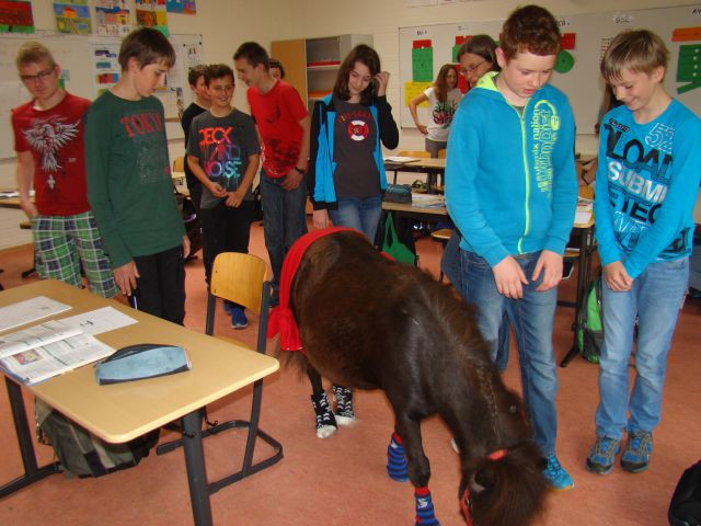 Pferd Auf M Flur
 Es steht ein Pferd auf‘m Flur… – Grundschule und