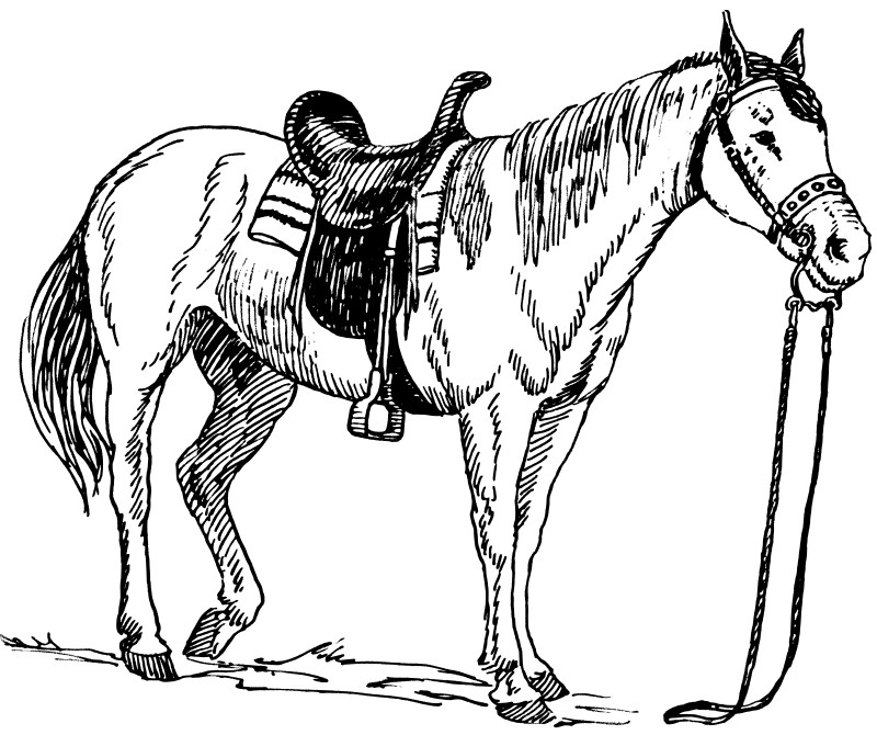 Pferd Ausmalbilder
 Ausmalbilder für Kinder Malvorlagen und malbuch