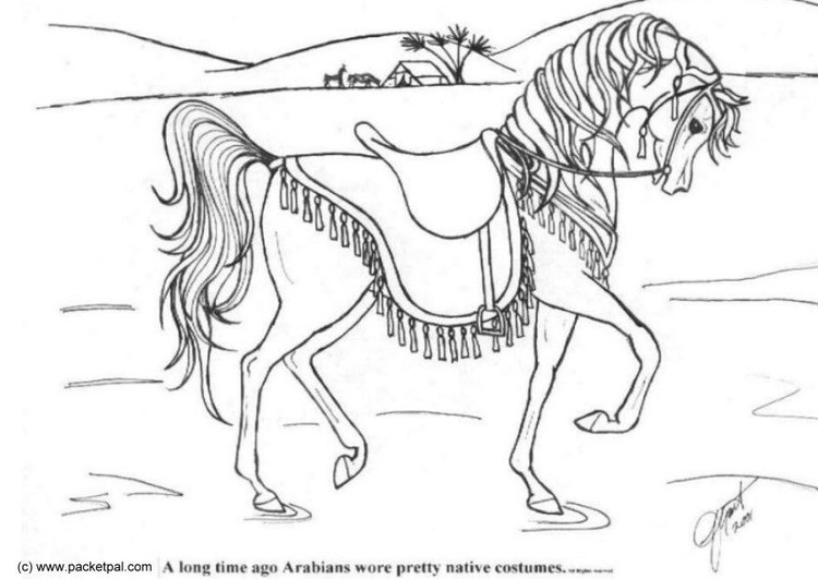 Pferde Ausmalbilder Dressur
 Coloriage dressage img 6087