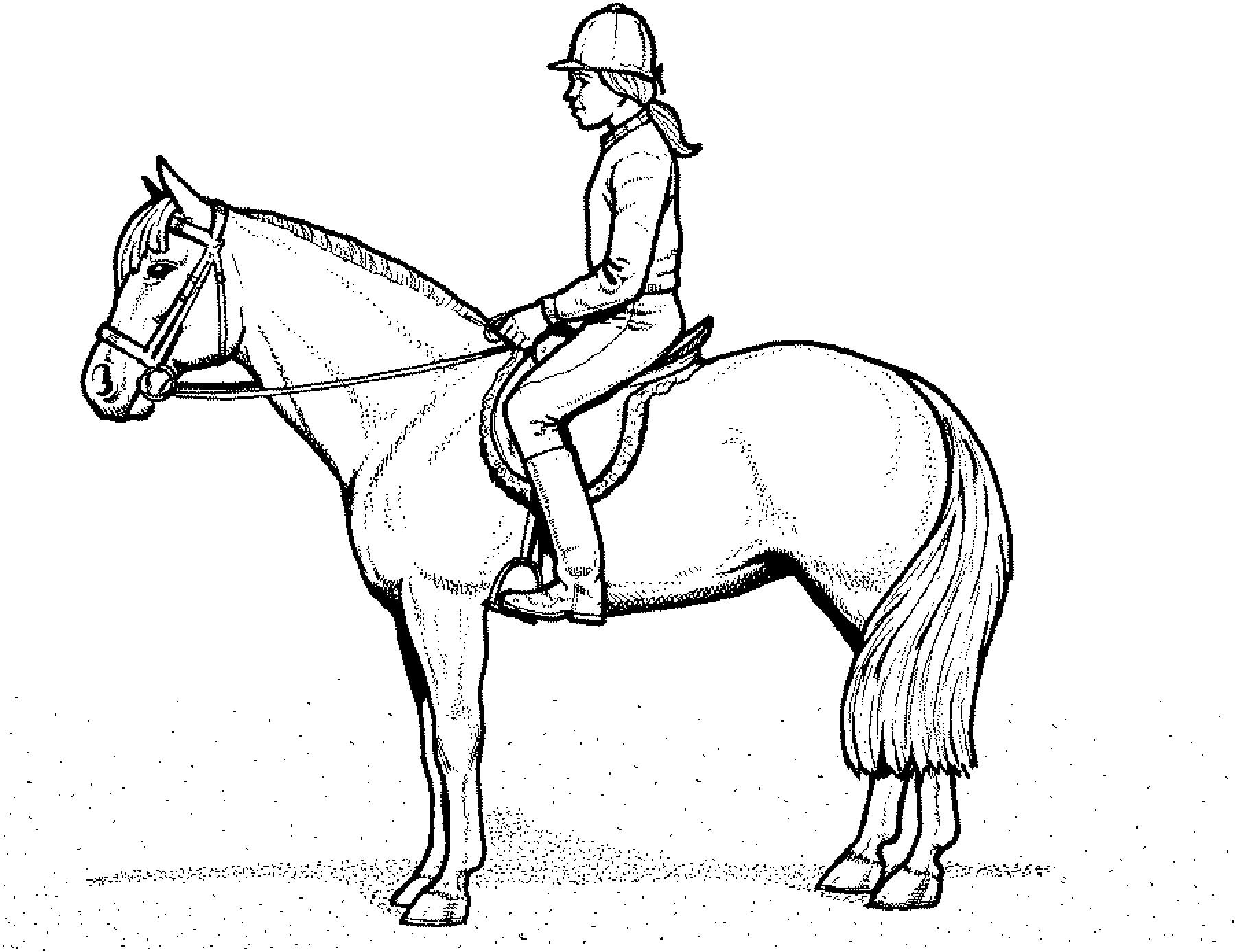 Pferde Ausmalbilder Zum Ausdrucken Kostenlos
 Ausmalbilder Pferde Mit Reiterin Ausmalbilder Pferde