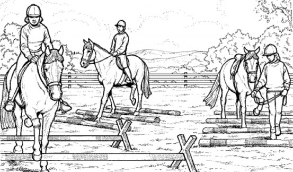 Pferde Ausmalbilder Zum Ausdrucken Kostenlos
 Ausmalbilder Pferde Springreiten Ausmalbilder Pferde
