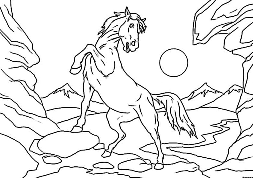 Pferde Ausmalbilder Zum Ausdrucken Kostenlos
 Ausmalbilder pferd kostenlos Malvorlagen zum ausdrucken