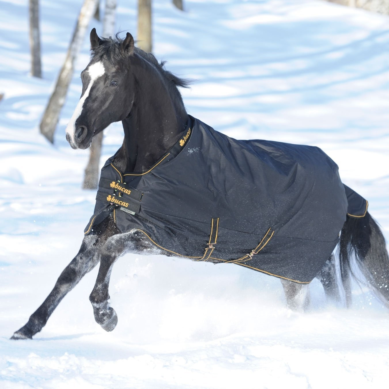 Pferde Decken
 Pferdedecken von Eskadron Horseware Bucas & Co günstig