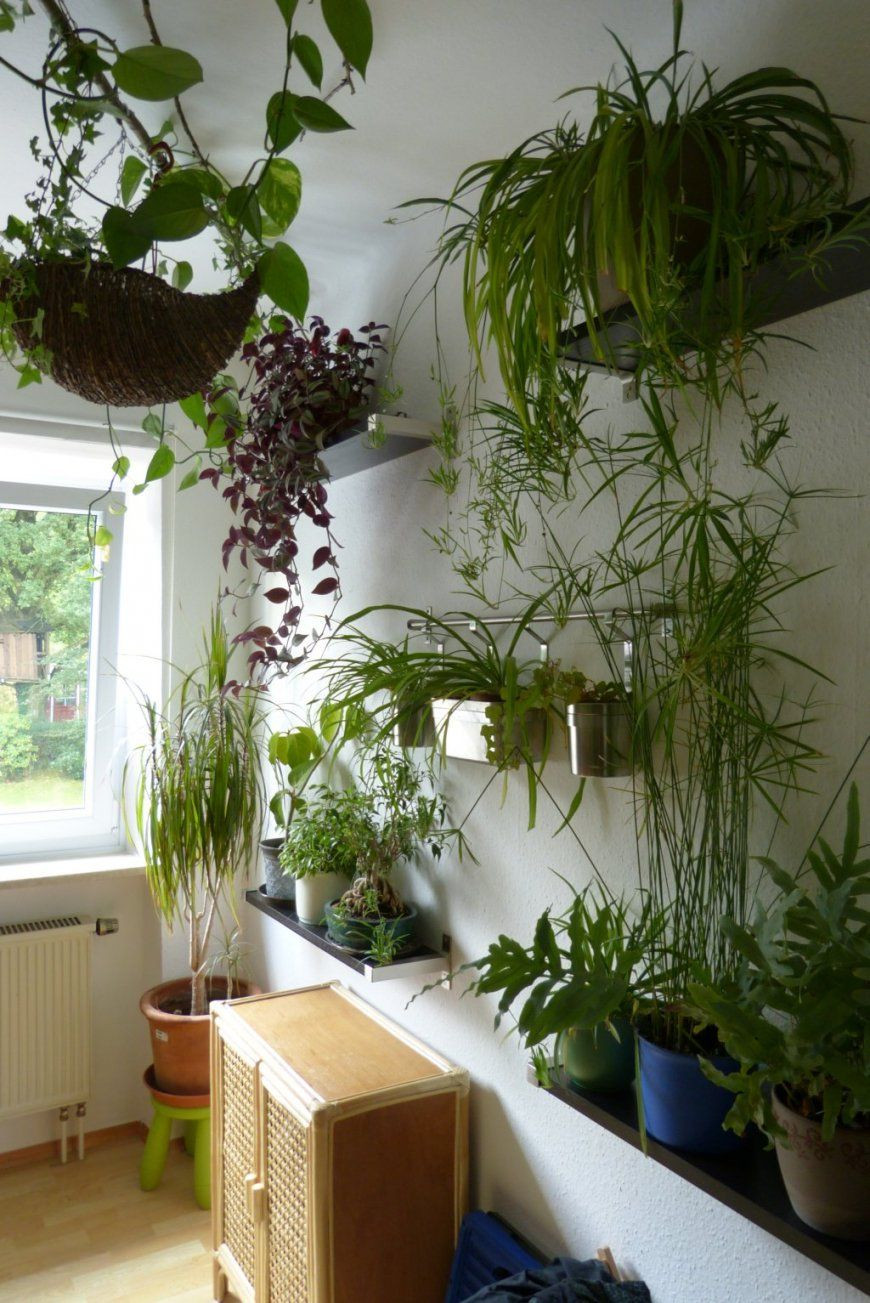 Pflanzen Schlafzimmer
 Luftreinigende Pflanzen Fürs Schlafzimmer