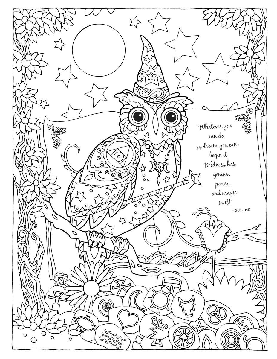 Pinterest Ausmalbilder
 Icolor Owls Crafts Pinterest Ausmalbilder Malvorlage Eule