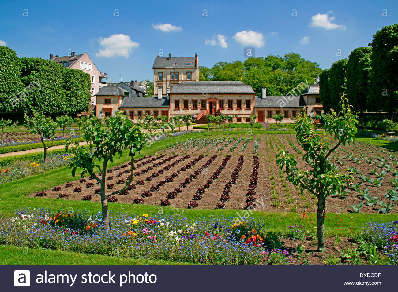 Prinz Georg Garten Darmstadt
 Prince Georg Garden Stock s & Prince Georg Garden