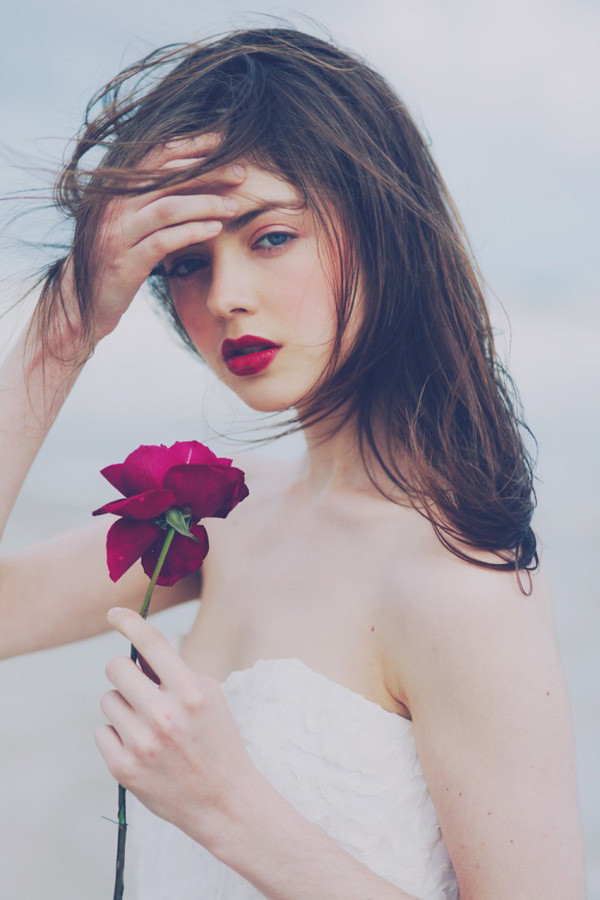 Rote Hochzeit Got
 Rote Rosen für Hochzeit