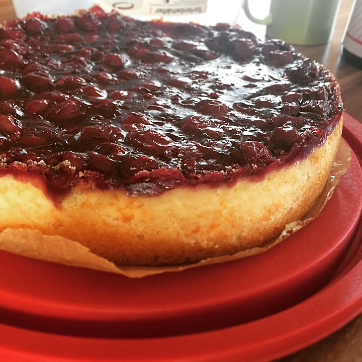 Rührteig Kuchen
 Quark Pudding Kuchen mit Kirschen und Rührteig von