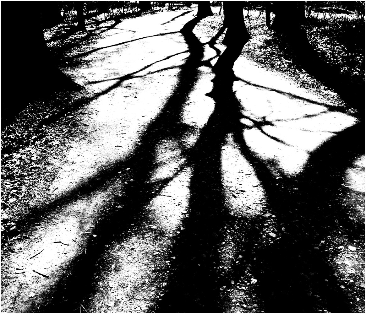 Schatten Und Licht
 Licht und Schatten Foto & Bild