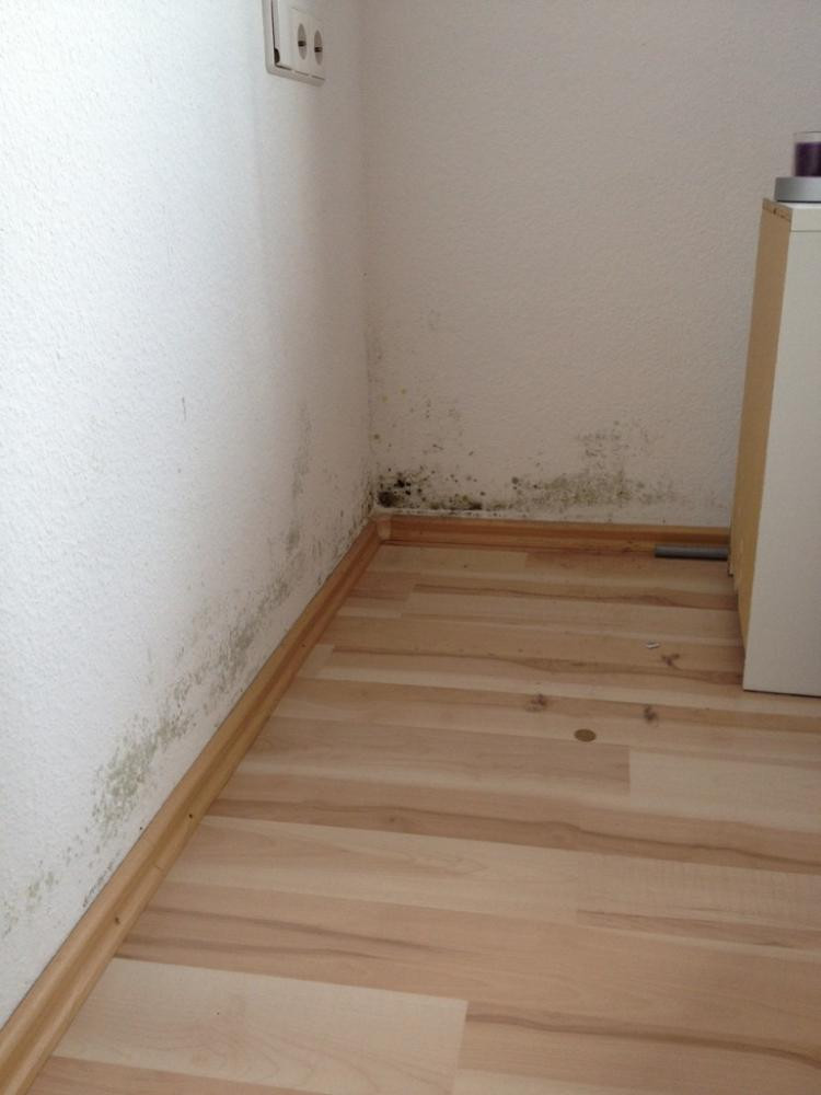 Schimmel Im Schlafzimmer
 Schlafzimmer Wand Hinter Dem Bett bett dekotipps wand