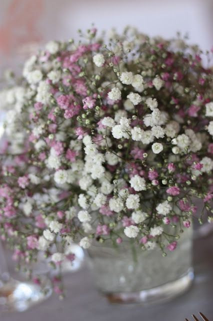 Schleierkraut Hochzeit
 Die 25 besten Ideen zu Schleierkraut hochzeit auf Pinterest