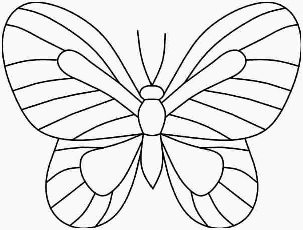 Schmetterlinge Malvorlagen
 Schmetterling Vorlagen Zum Ausschneiden Schmetterling