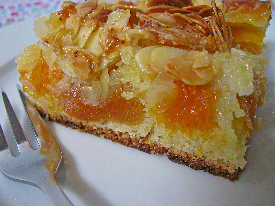 Schneller Kuchen
 Schneller Blechkuchen mit Obst Rezept mit Bild von