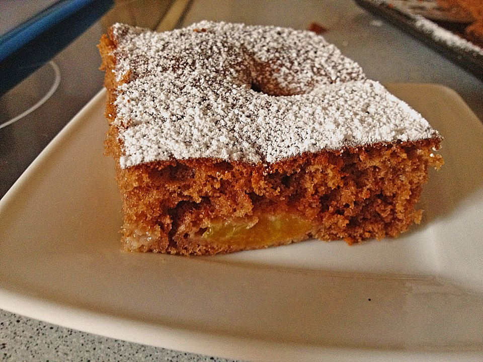 Schoko Kuchen
 Aprikosen Schoko Kuchen von gerry