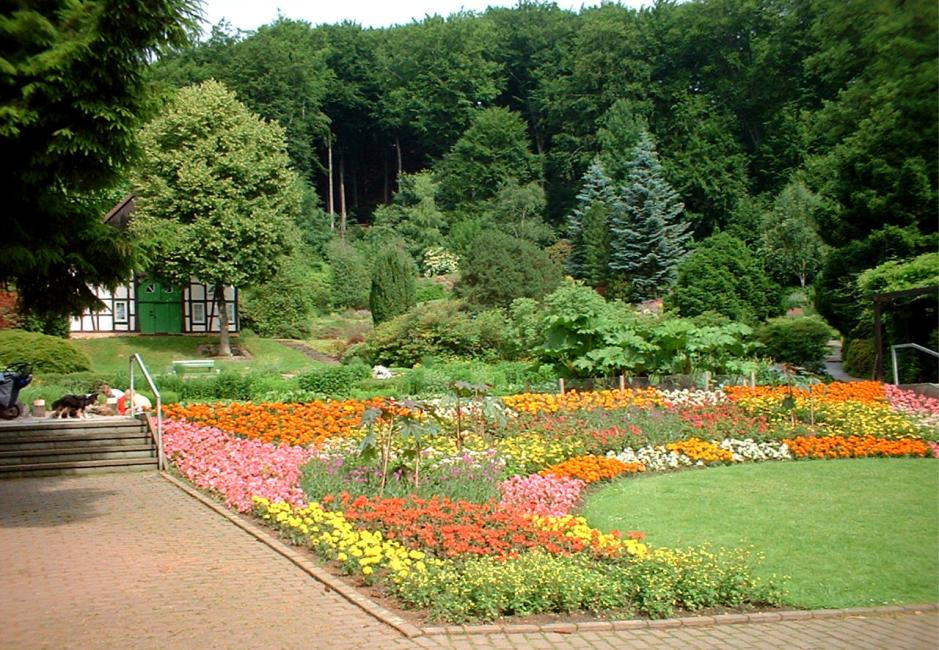 Schöner Garten
 Garten auf Pflanzenfreunde