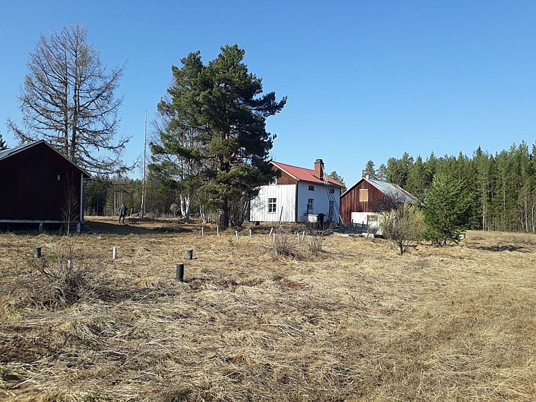 Schweden Haus Kaufen
 Haus In Schweden Kaufen haus in schweden dalarna kaufen