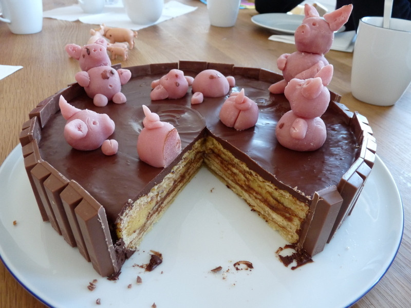 Schweine Kuchen
 Foto Schweine in der Suhle Rennrad News