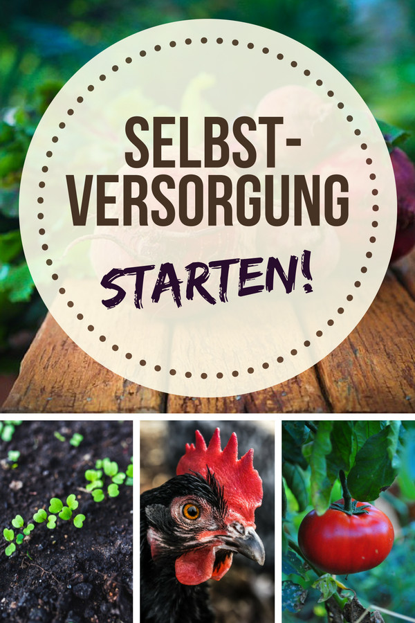 Selbstversorgung Aus Dem Garten
 Selbstversorgung für Anfänger So versorgst du dich das