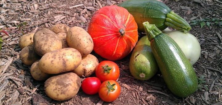 Selbstversorgung Aus Dem Garten
 Selbstversorgung aus dem eigenen Garten – Kleinvieh macht