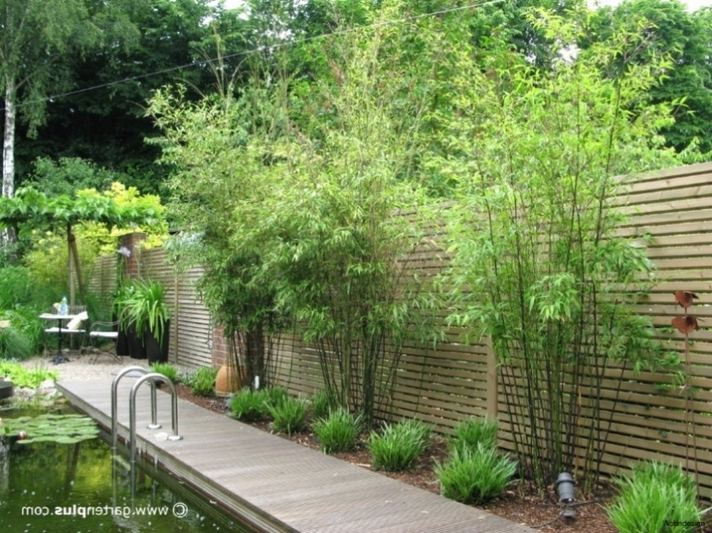 Sichtschutz Garten Guenstig
 Pflanzen Für Sichtschutz Garten Ordentlich Bambus