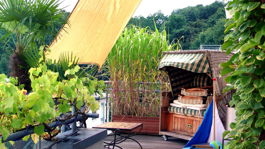 Sichtschutz Garten Pflanzen
 Sichtschutz auf dem Balkon durch Pflanzen