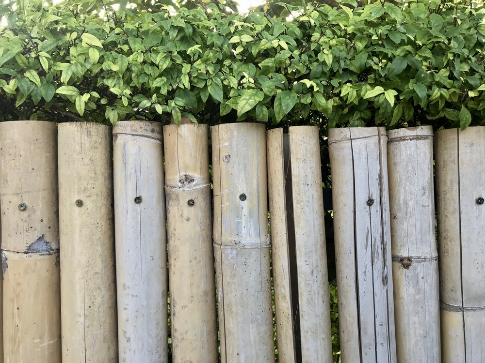 Sichtschutz Garten Selber Bauen
 Sichtschutz für den Garten selber bauen So geht s