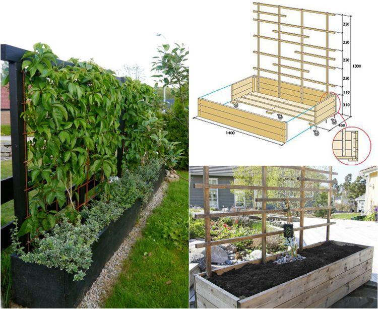 Sichtschutz Terrasse Ideen
 mobiler sichtschutz pflanzen spalier selber bauen garten