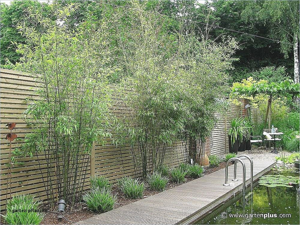 Sichtschutz Terrasse Ideen
 Garten Bepflanzen 15 Elegant Garten Bepflanzen Galerie