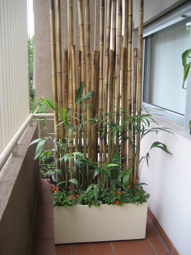 Sichtschutz Terrasse Pflanzen
 Balkon Sichtschutz mit Pflanzen Natur pur auf dem Balkon