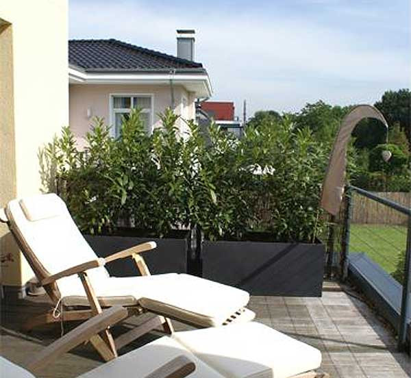 Sichtschutz Terrasse Pflanzen
 Sichtschutz mit Pflanzkübeln im Garten auf Balkon und