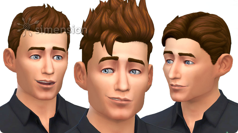 Sims 4 Frisuren
 Die Sims 4 Luxus Party Accessoires simension