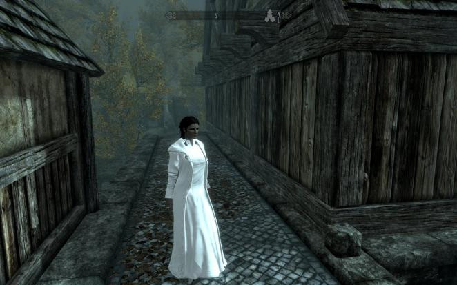 Skyrim Hochzeit
 The Elder Scrolls 5 Skyrim Diebesgilden Rüstung