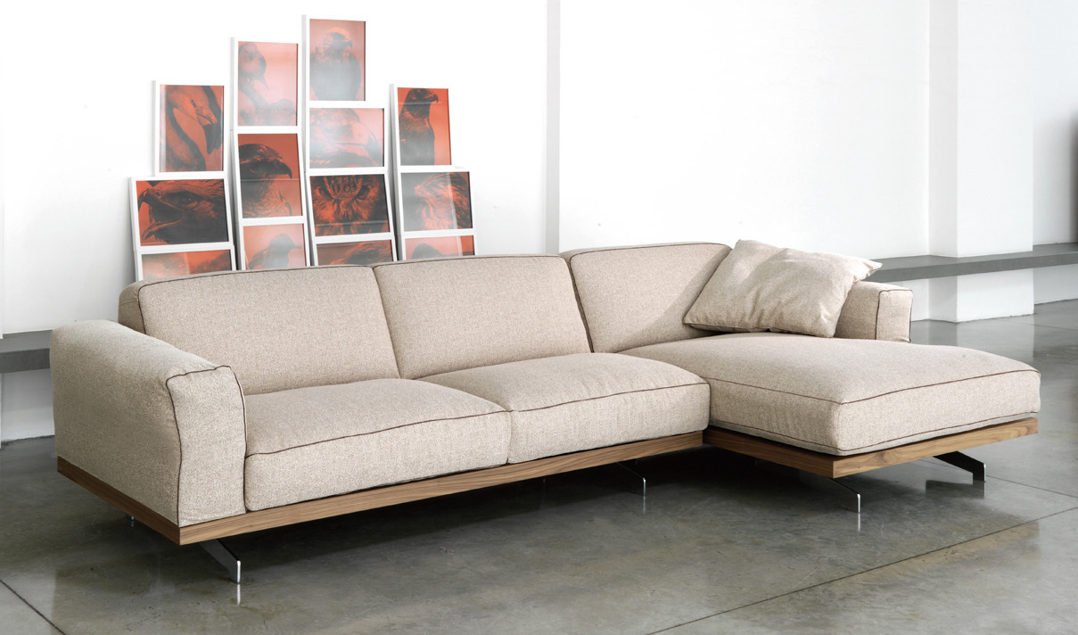 Sofa Modern
 Modern Sofa Bed and Contemporary House to Provide fort