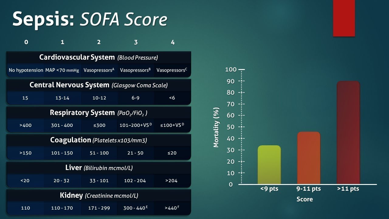 Sofa Score
 Sepsis Sequential Organ Failure Assessment SOFA Score