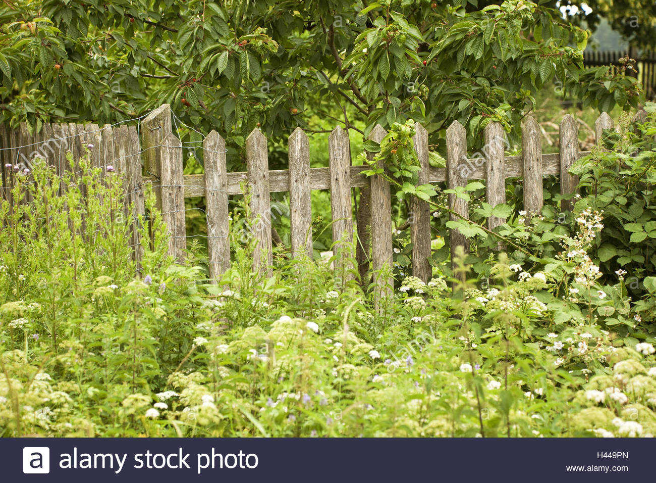 Sondernutzungsrecht Garten Zaun
 Zaun Garten zerlumpt Stockfoto Bild Alamy