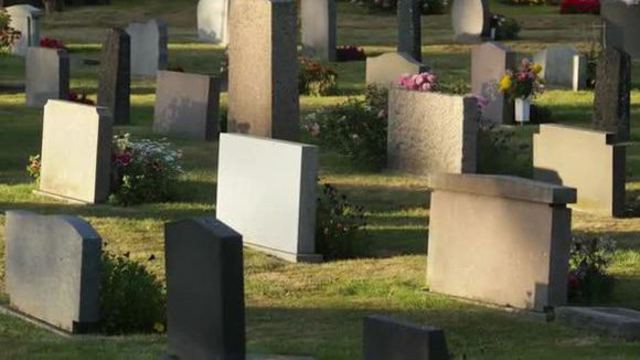 Sonderurlaub Bei Hochzeit Der Tochter
 So backen Sie den wohl einfachsten Käsekuchen Video