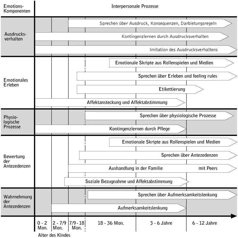 Sozial Emotionale Entwicklung Bei Kindern Tabelle
 emotionale Entwicklung Lexikon der Psychologie