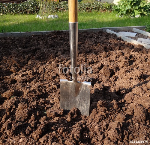 Spaten Garten
 "Spaten im Garten" Stockfotos und lizenzfreie Bilder auf