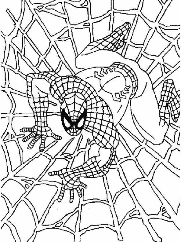 Spiderman Ausmalbilder
 spiderman ausmalbilder – Ausmalbilder für kinder