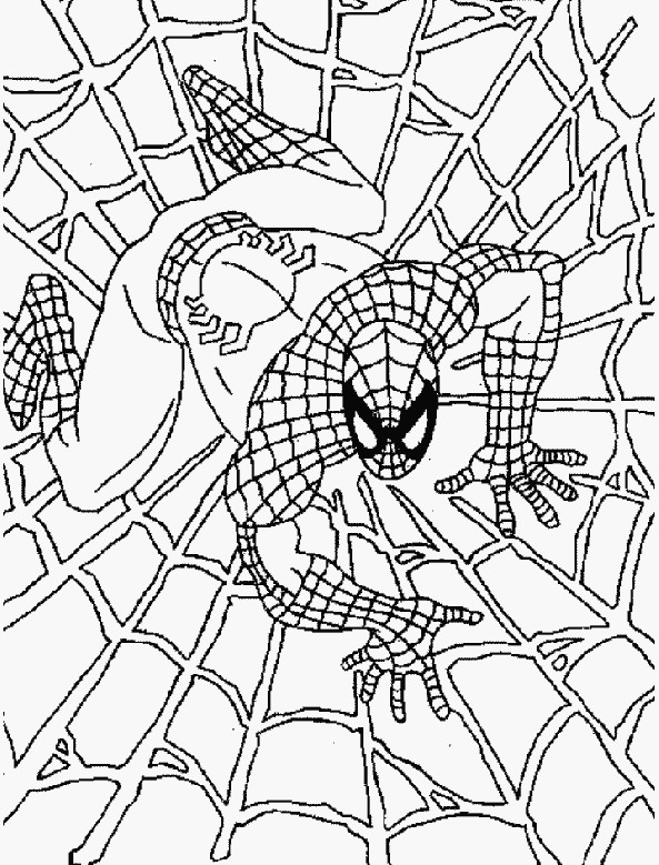 die 20 besten ideen für spiderman ausmalbilder  beste
