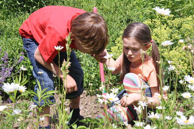 Spiele Im Garten
 Landesfachausschuss Kinder und Jugend NABU Niedersachsen