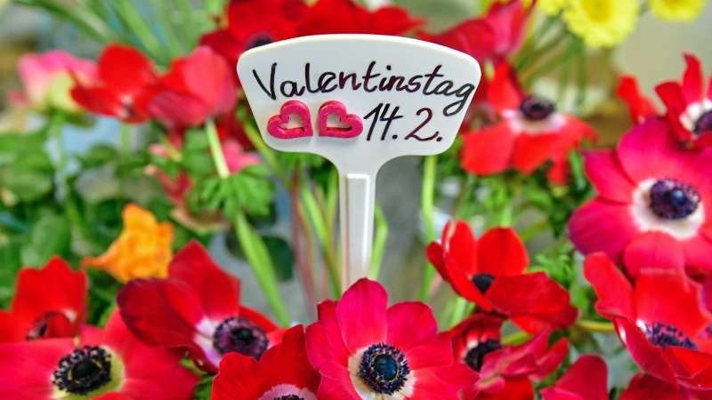 Spontane Geschenke
 Spontane Geschenke Geschenk Ideen für den Valentinstag