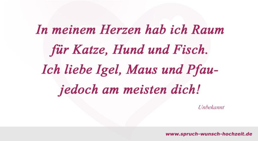 Spruch Hochzeit Liebe
 Hochzeitssprüche über Liebe