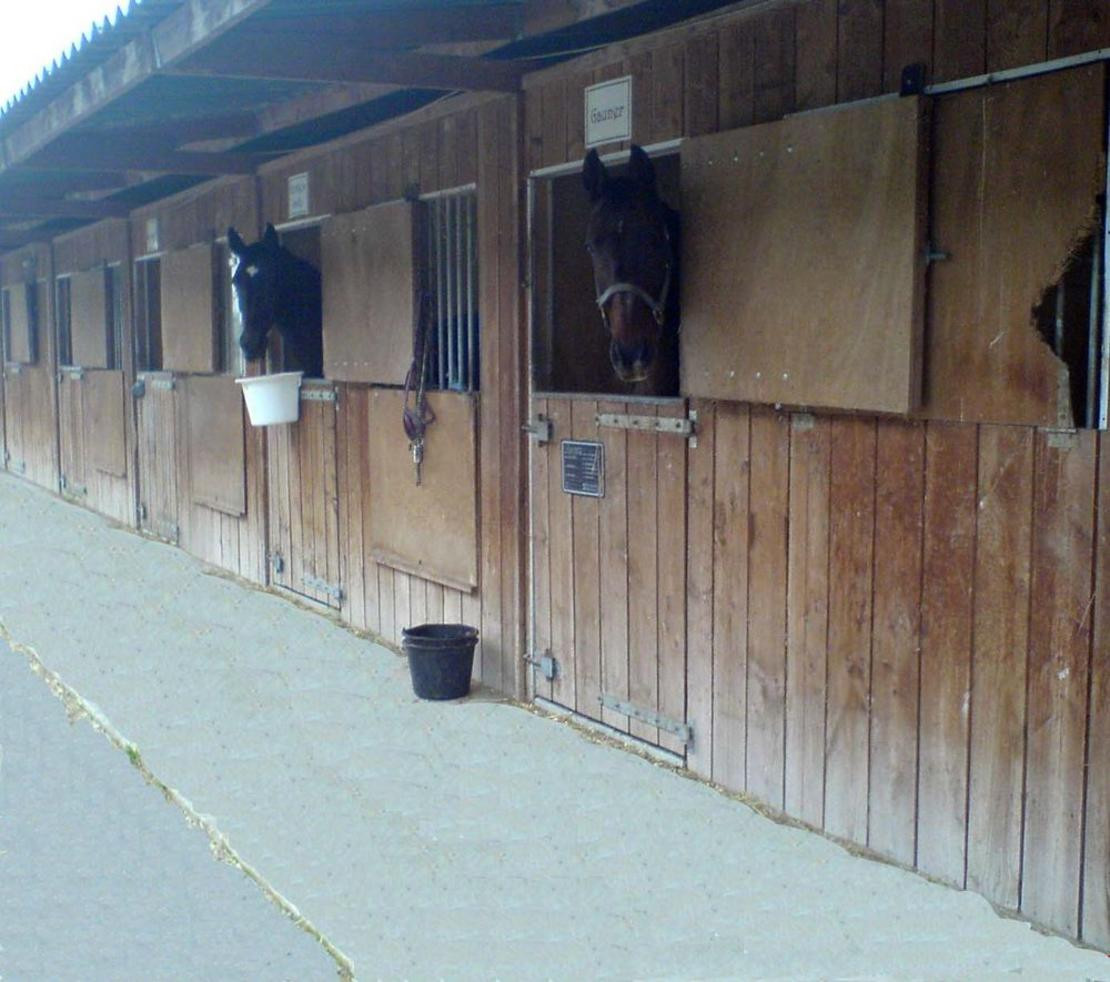 Stall Frei
 Pferdeboxen im Westen von Leipzig frei Außenboxen mit