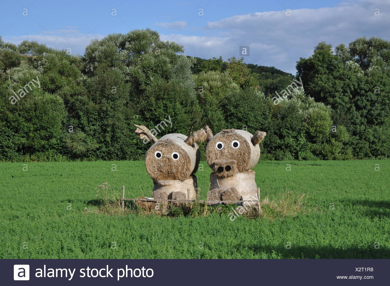 Strohpuppen Hochzeit
 Strohpuppen Hochzeit