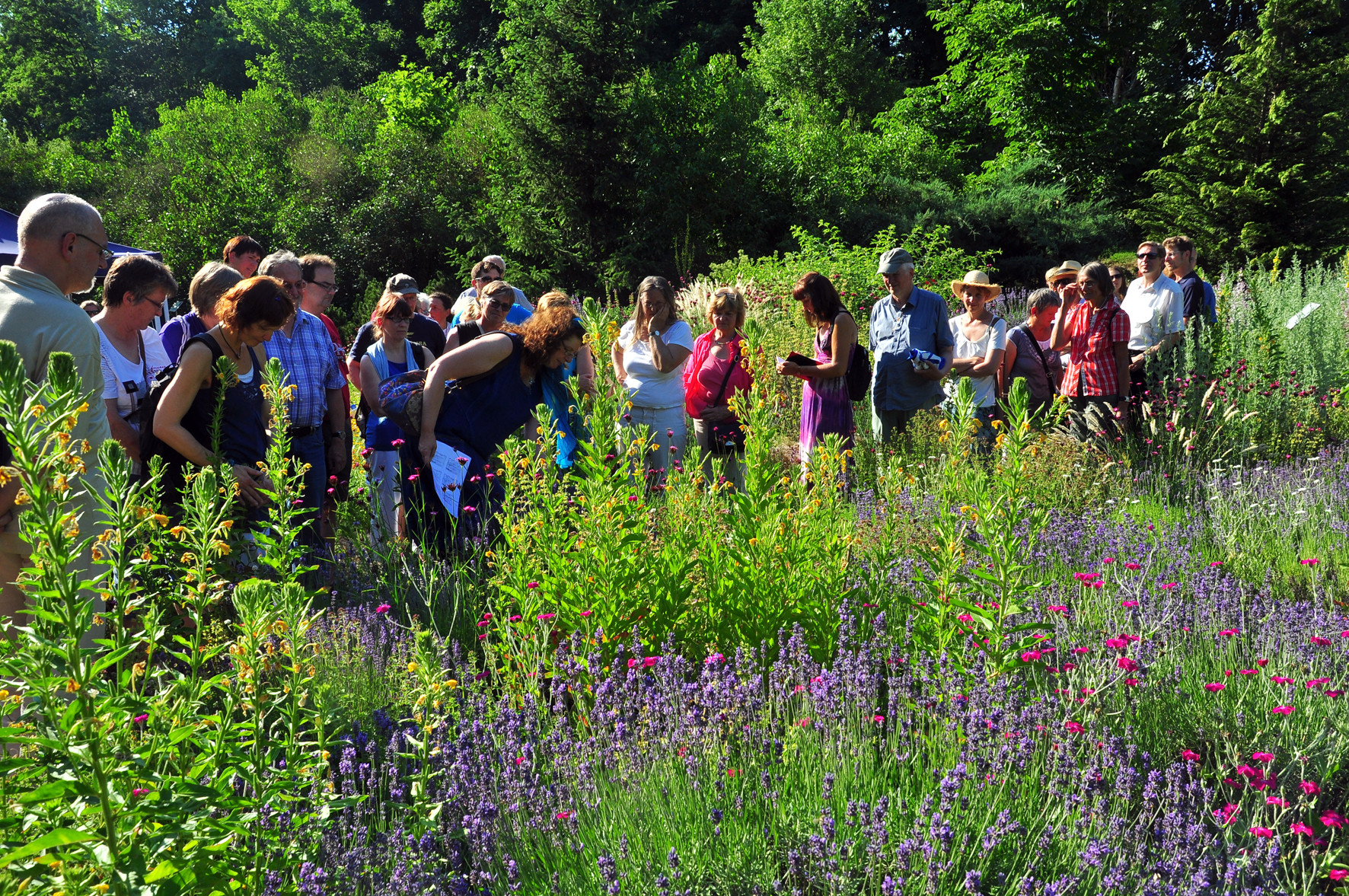 Tag Des Gartens
 Tag des Botanischen Gartens am 12 Juni › Friedrich