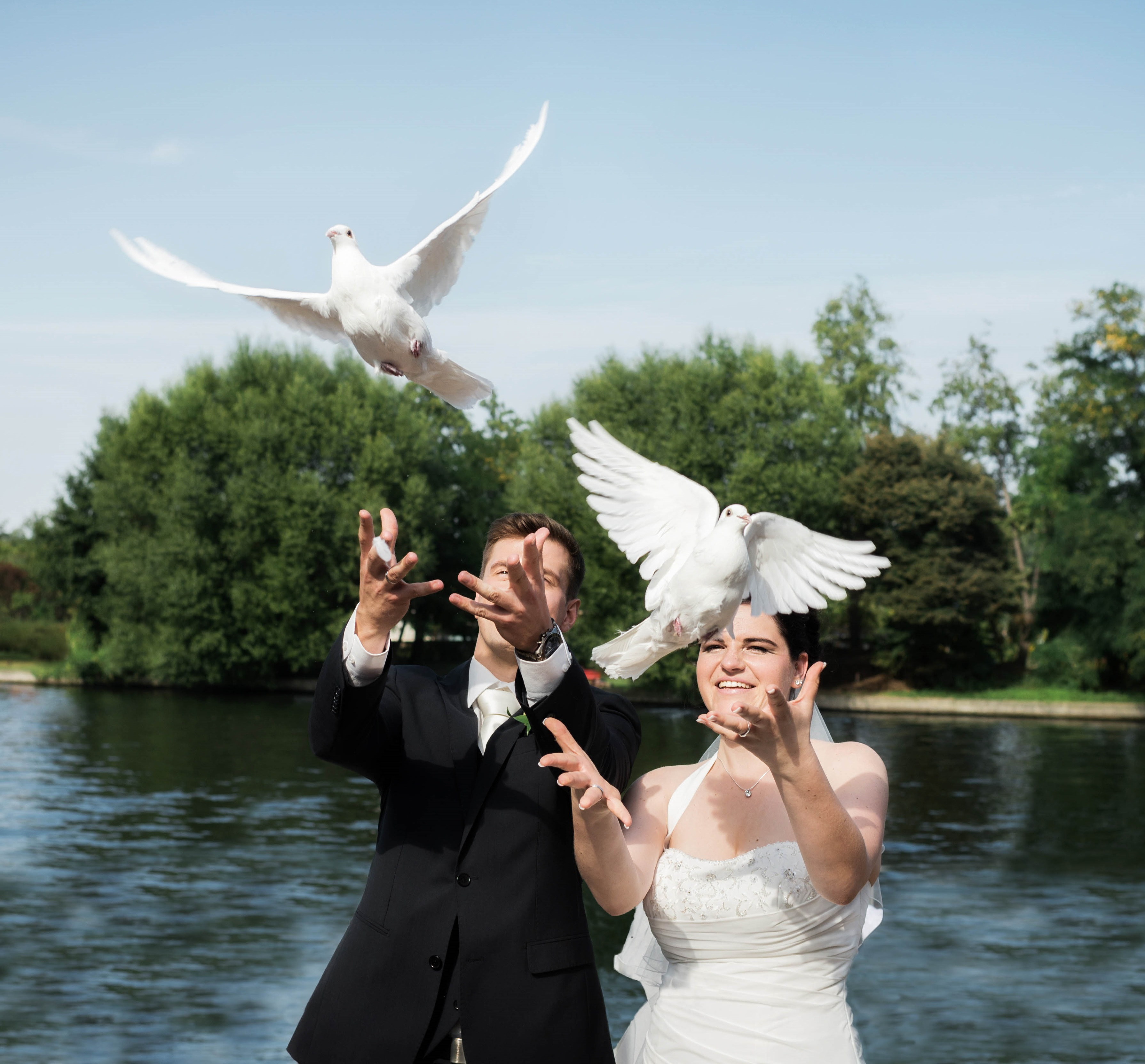 Tauben Für Hochzeit
 Tierpark Neukölln in der Hasenheide